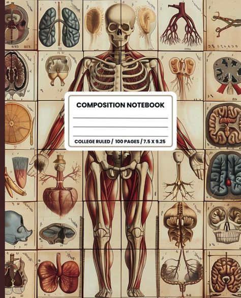 Composition Notebook College Ruled: Vintage Human Anatomy Medical Illustration. Skeleton Skull Bones Aesthetic: Publishing, Racing Bathtub: Amazon.com: Books Anatomy Books Aesthetic, Goodnotes Wallpaper, Journals Amazon, Anatomy Medical Illustration, Bones Aesthetic, Goodnotes Paper, Aesthetic Journals, Book Journaling, Ipad Notes