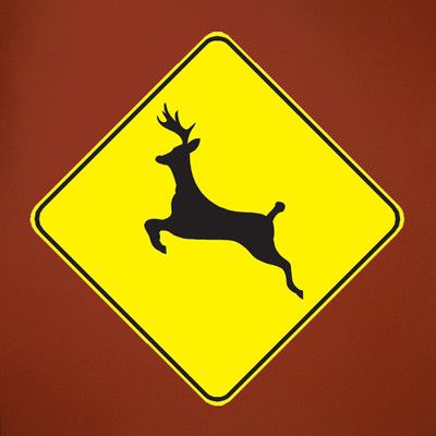 Wallhogs Deer Crossing Wall Decal Size: 48" H x 48" W Deer Crossing, Oopsy Daisy, Name Wall Decals, Dream Wall, Ferrari Logo, Hand Painting Art, Vinyl Designs, Vinyl Wall Decals, Furniture Lighting