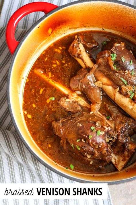 Braised Venison Shanks, Venison Shank Recipe, Venison Shank, Braised Venison, Ground Venison Recipes, How To Cook Venison, Elk Recipes, Venison Stew, Deer Recipes