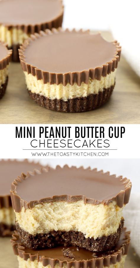 Peanut Butter Cheesecake Recipes, Chocolate Graham Cracker Crust, Peanut Butter Cup Cheesecake, Mini Cheesecake Recipes, Chocolate Crust, Chocolate Graham Crackers, Lost 100 Pounds, Peanut Butter Cup, Cheesecake Desserts