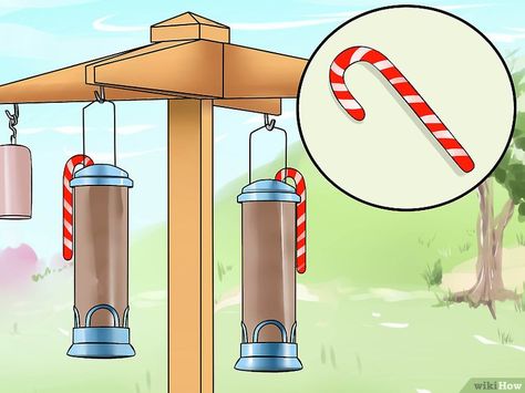 3 Ways to Deter Squirrels from Bird Feeders - wikiHow Bird Feeder Station, Backyard Birds Watching, Backyard Birds Sanctuary, Backyard Birds Feeders, Homemade Pictures, Squirrel Proof Bird Feeders, Bird Feeder Poles, Bird Feeding Station, Homemade Bird Feeders