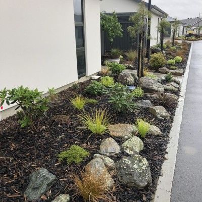 Landscape Design NZ | Garden Landscaping | The Plant Store NZ Nz Garden Landscape Design, Garden Ideas Nz, Nz Garden, Backyard View, Plant Store, Front Gardens, Pool Landscape, Pool Landscape Design, Landscape Design Plans