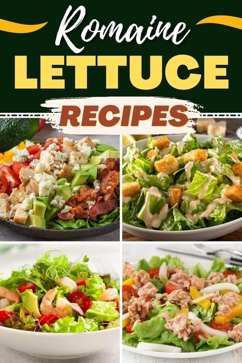 Romaine Lettuce Salad Recipes, Romaine Lettuce Recipe, Grilled Romaine Salad, Lettuce Salad Recipes, Lettuce Recipes, Turkey Lettuce Wraps, Chicken Taco Salad, Grilled Romaine, Shrimp Avocado Salad