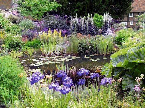 Monty Don shows how to create a wildlife pond for your garden or patio Wildlife Pond, Ponds For Small Gardens, Bog Garden, Monty Don, Garden Pond Design, Pond Landscaping, Natural Pond, Pond Plants, Pond Design