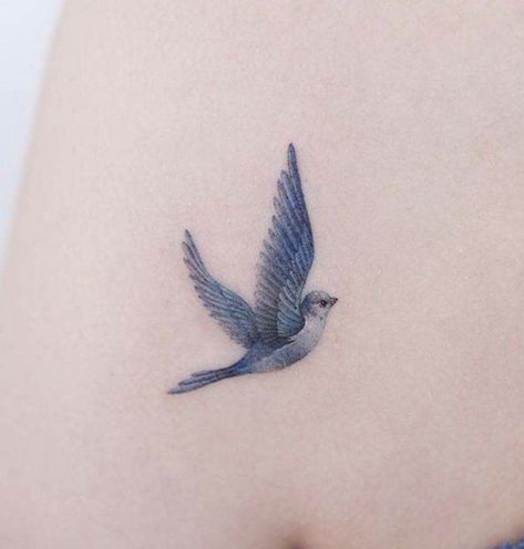 Disney Blue Bird Tattoo, Red And Blue Bird Tattoo, Watercolor Bird Tattoos For Women, Tiny Blue Jay Tattoo, Fine Line Blue Jay Tattoo, Bluebird Tattoo Small Simple, Small Blue Bird Tattoos For Women, Single Needle Bird Tattoo, Bird Simple Tattoo