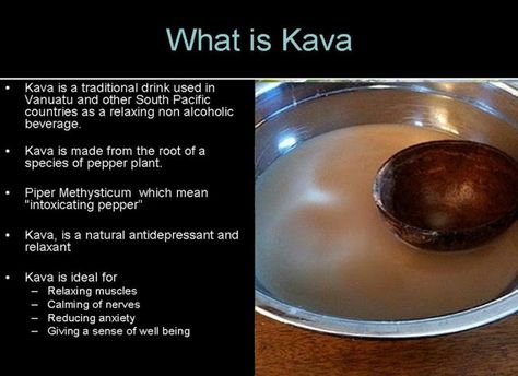 Kava Benefits Health, Kava Benefits, Alcohol Alternatives, Kava Tea, Natural Pharmacy, Magick Herbs, Kava Kava, Herbal Medicine Recipes, Coffee Shop Business