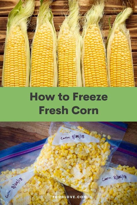 Freezer corn brings you the taste of summer all year long! Blanch and freeze summer corn for that fresh corn-on-the-cob taste. Full instructions for how to freeze corn. #corn #cornonthecob #frozencorn #foodlove Blanching Corn, Frozen Corn Recipes, Freezing Fresh Corn, Freezing Corn, Fresh Corn On The Cob, Freezing Vegetables, Frozen Summer, How To Cook Corn, Dried Corn