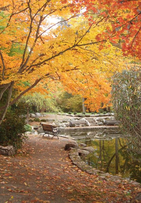 Ashland Oregon - Lithia Park Lithia Park Ashland Oregon, Ashland Oregon, Usa Pictures, Oregon Usa, Fabulous Fall, Haunted Places, Instagram Inspo, Photo Look, International Travel