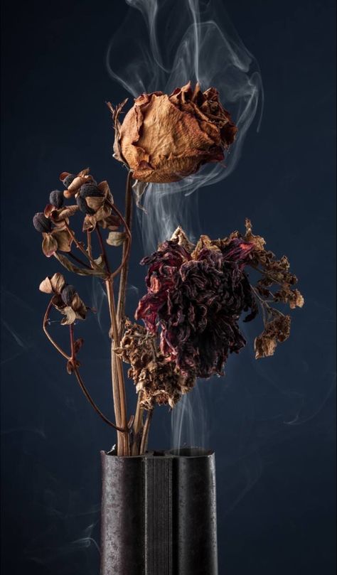 Vanitas Art Style, Fine Art Still Life Photography, Vanitas Photography, Still Life Flowers Photography, Fine Art Photography Conceptual, Flower Still Life Photography, Still Life Collage, Archival Photography, Glass Photography