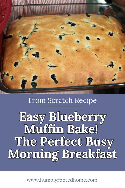 Blueberry Muffin Cake Recipe, Blueberry Brunch Recipes, Blueberry Muffin Bars, Blueberry Muffin Casserole, Blueberry Muffin Bake, Easy Breakfast Cake Simple, Sheet Pan Blueberry Muffins, 3 Ingredient Blueberry Muffins, Blueberry Pancake Bake