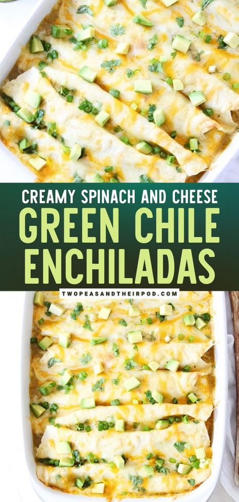 Vegetarian Enchiladas Recipe, Vegetable Enchiladas, Veggie Enchiladas, Green Chile Enchiladas, Vegetarian Enchiladas, Enchilada Recipe, Mexican Recipe, Mexican Dinner Recipes, Mexican Dinner