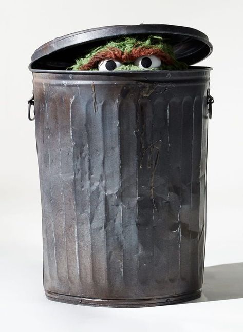 Oscar The Grouch Trash Can, Craig Ward, Squarespace Template Design, Winona Mn, Minding My Own Business, Oscar The Grouch, Trash Art, Places In New York, Creative Valentines