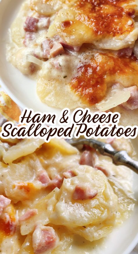 Ham & Cheese Scalloped Potatoes! Creamy scalloped potatoes from the BEST base recipe for a classic, homemade scalloped potato casserole plus leftover ham and swiss cheese. Ham And Scalloped Potatoes, Ham And Potato Recipes, Cheese Scalloped Potatoes, Scalloped Potato Casserole, Scalloped Potatoes Crockpot, Homemade Scalloped Potatoes, Slow Cooker Scalloped Potatoes, Best Scalloped Potatoes, Gameday Food