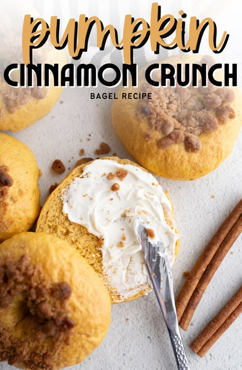 Pumpkin Cinnamon Crunch Bagels  - Cooking With Karli Pumpkin Spice Bagels, Bagels Flavors, Cinnamon Bagel Recipe, Christmas Bagels, Pumpkin Bagels Recipe, Panera Cinnamon Crunch Bagel, Pumpkin Spice Bagel Recipe, Cinnamon Crunch Bagel Recipe, Pumpkin Bagel Recipe