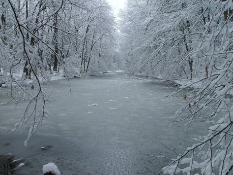 Frozen Pond Aesthetic, Hunger Games Arena, Frozen Pond, Frozen Lake, Winter Love, Lake Landscape, Seasons Of The Year, Winter Aesthetic, Pretty Photos