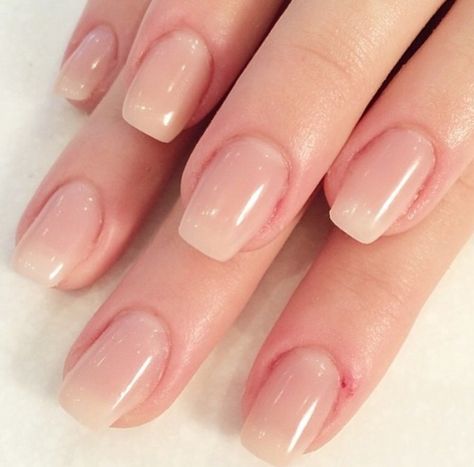 Hard gel extensions                                                                                                                                                                                 More Gel Clear Pink Nails, Realistic Gel Nails, Natural Gel Extensions Nails, Short Gel Extensions, Natural Gel Extensions, Hard Gel Overlay On Natural Nails, Short Gel Extension Nails, Clear Pink Gel Nails, Short Hard Gel Nails