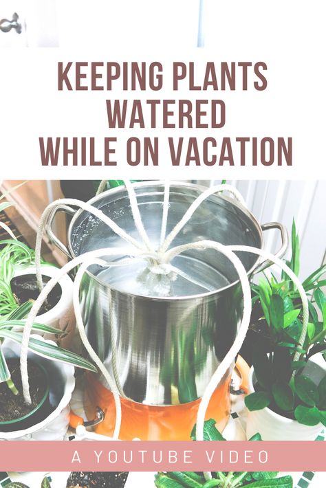 Self Watering Ideas For Potted Plants, Watering Garden While On Vacation, Wick Watering System, Plant Water Dripper Diy, Diy Self Watering Planter Wick, Water Wicking For Plants, Self Watering Plants While On Vacation, How To Water Plants When On Vacation, Diy Plant Watering System