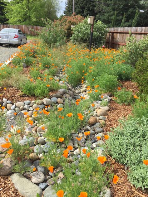 Small Yard Xeriscaping, Southern California Backyard Ideas, Landscaping With Natural Rock, Native Lawn Landscaping, Cedar Mulch Landscaping Ideas, Northern California Landscape Ideas, Utah Native Landscaping, Colorado Xeriscape Front Yard, Eclectic Landscaping