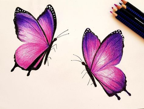 Butterfly Flower Drawing Color, Butterfly Colorful Drawing, Butterfly Pencil Color, Butterfly Coloured Pencil Drawing, Color Pencil Art Butterfly, Butterfly Drawing Pencil Coloring, Color Pencil Butterfly, Colored Pencil Butterfly, Drawing Ideas With Pencil Colours