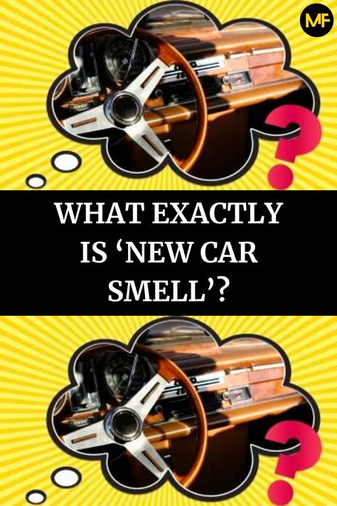 What Exactly Is ‘New Car Smell’? New Car Smell, Inside Car, Maintenance Checklist, Car Smell, Car Restoration, Room Smells, What To Use, Diy Car, Car Maintenance