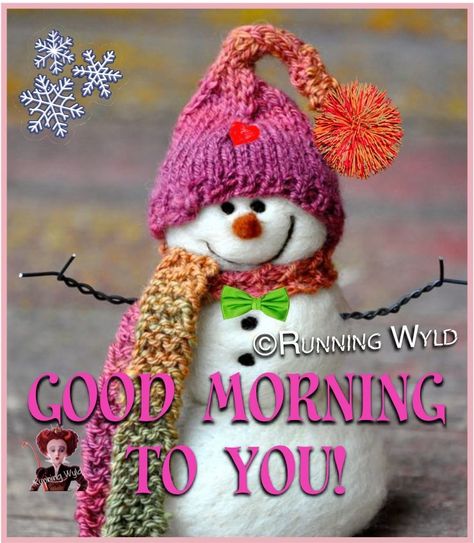 Funny Old Sayings, Winter Blessings, Good Morning Christmas, Good Morning Winter, Morning Christmas, Winter Greetings, Happy Day Quotes, Good Morning Blessings, Morning Sunshine Quotes