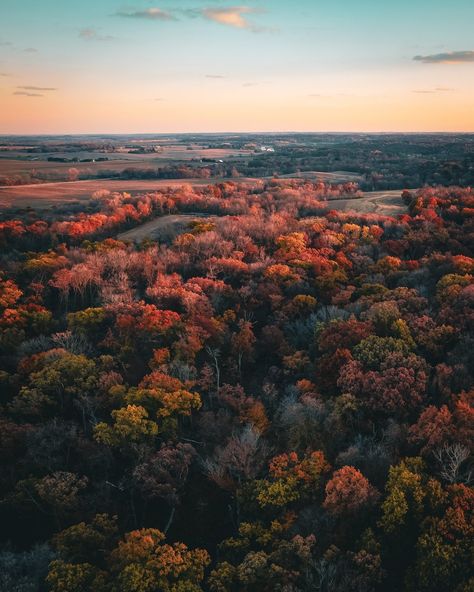 We're still falling for Iowa's autumn colors. 😍🍂  📸: Ryan Immerfall Things To Do In Iowa, Amana Colonies, Iowa State Fair, Day Trip Ideas, Tulip Festival, Tourism Website, Fall Beauty, Airedale Terrier, Travel Website