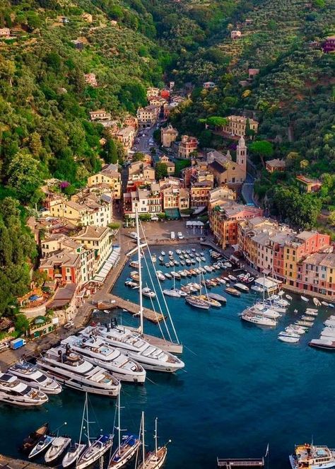 My beautiful Italy❤ | Portofino | Facebook Italy Portofino, Portofino Italy, Amalfi Italy, Pisa Italy, Little Italy, Northern Italy, Beautiful Places In The World, Florence Italy, Lake Como