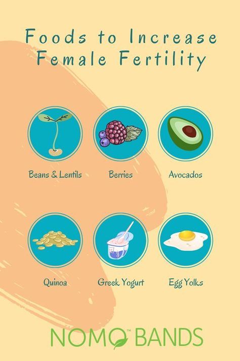 New Foods To Try, Herbs For Fertility, Pregnant Drinks, Healthy High Protein Breakfast, Help Getting Pregnant, Getting Pregnant Tips, Fertility Nutrition, Food Recommendations, Fertility Foods