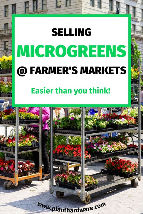 Microgreens Business Ideas, Microgreens Farmers Market, Microgreens Packaging Ideas, Selling Microgreens, Microgreen Business, Microgreens Business, Micro Gardening, Backyard Nursery, Indoor Hydroponic Gardening