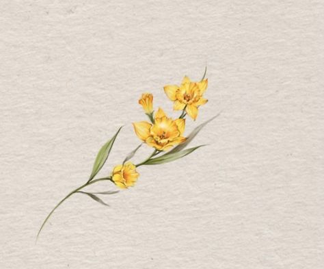 Dafodill Flowers Tattoo Color, Dafodill Flowers Tattoo Design, Colored Daffodil Tattoo, Daffodil Reference, Narcissus Flower Tattoo Color, Daffodil Tattoo Color, Dafodill Flowers Drawing, Yellow Flower Tattoo, Narcissus Flower Tattoo