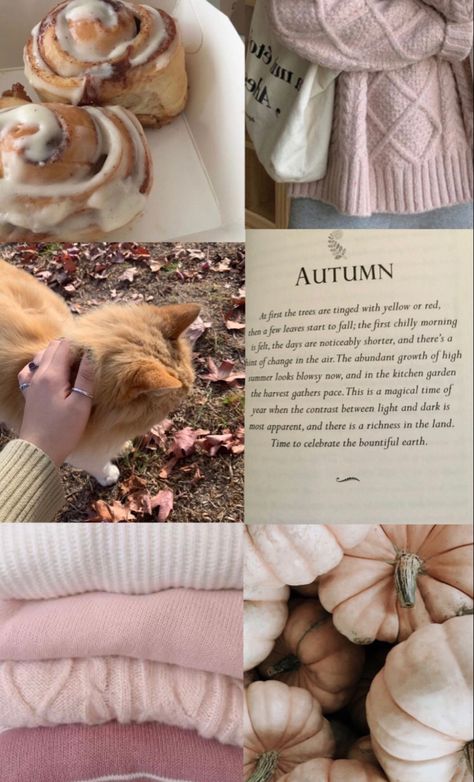 🩰☁️🍂🎀 Pink November Aesthetic, Light Autumn Wallpaper, Light Autumn Aesthetic Wallpaper, Soft Autumn Wallpaper Aesthetic, Soft Autumn Wallpaper, Fall Girly Aesthetic, Warm Pink Wallpaper, Pink Fall Aesthetic Wallpaper Iphone, Pink And Brown Fall Aesthetic