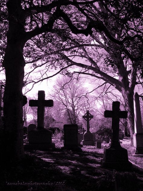 Pink Graveyard, Movies Like Scream, Aesthetic Graveyard, Binding Paper, Scary Images, Grave Yard, Vampire Aesthetic, Scary Wallpaper, Pet Sematary