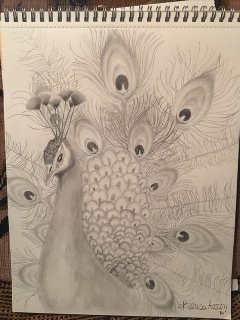 A peacock I sketched for my sister 12/24/16 By Karisa Aaron Gonzales Sketch Of Peacock Pencil Drawings, Peacock Pencil Art, Peacock Drawing Sketch, Morepankh Drawing, Drawings Of Peacocks, Picoke Bird Drawings, Drawing A Peacock, Drawing Of A Peacock, Indian Peacock Art