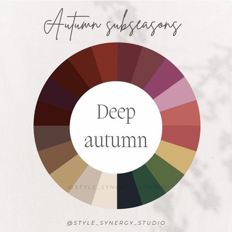 Season Color Pallete, Plum Colour Combinations, Deep Autumn Purple, Dark Autumn Colour Palette, Fall Color Palette 2024, Summer Pallet Color, Dark Autumn Outfits Color Palettes, Dark Autumn Color Combinations, Dark Autumn Color Palette Fashion