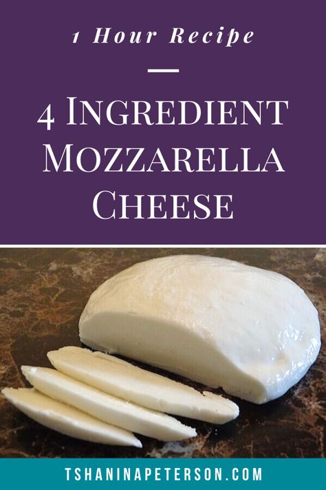 How To Make Homemade Mozzarella Cheese (in under 1 hour) Make Mozzarella Cheese, Homemade Mozzarella Cheese, Cheese Recipes Homemade, Homemade Mozzarella, Cheese Making Recipes, Grazing Platter, Cheese Tasting, Mozzarella Sticks, Homemade Cheese