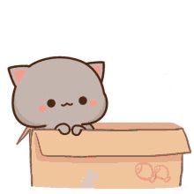 Peachcat GIF - Peachcat - Discover & Share GIFs Calin Gif, Chibi Cat, Images Kawaii, Cute Kawaii Animals, Cute Cartoon Images, American Dad, Cute Cat Gif, Kawaii Animals, Anime Cat