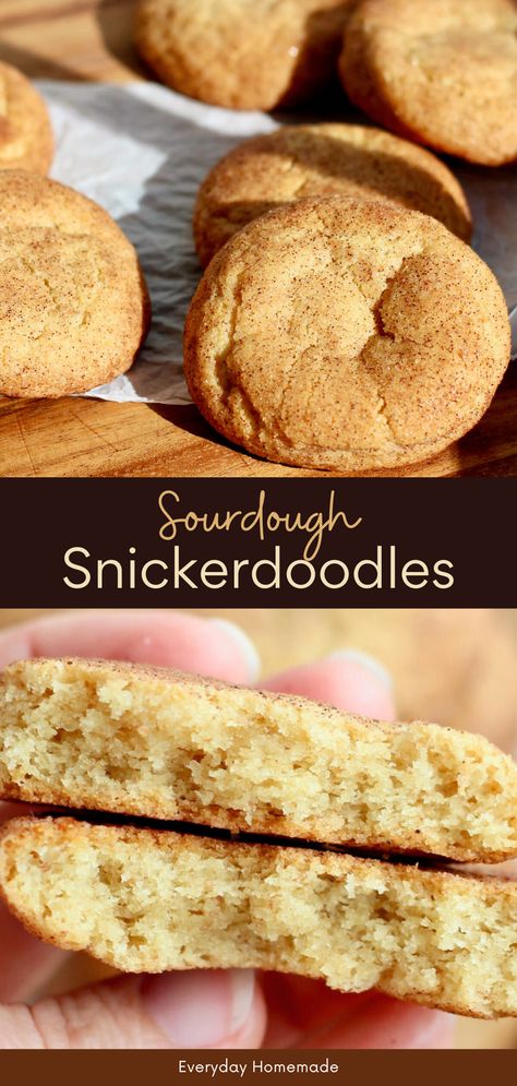 These Sourdough Snickerdoodles are the best holiday treat! Made with sourdough starter discard for a tangy twist, they’re soft, chewy, and rolled in cinnamon sugar. This simple recipe is made without cream of tartar, making the cookies easy to prepare the same day or ahead of time. Perfect as sourdough Christmas cookies, they’re a quick and delicious homemade dessert idea for your holiday gatherings! Sourdough Snowball Cookies, Sourdough Discard Thumbprint Cookies, Sourdough Christmas Cookies Recipe, Sourdough Discard Snickerdoodles, Sourdough Discard Snickerdoodle Cookies, Christmas Sourdough Cookies, Sourdough Dessert Recipe, Sourdough Cookies Easy, Sourdough Sugar Cookie Bars