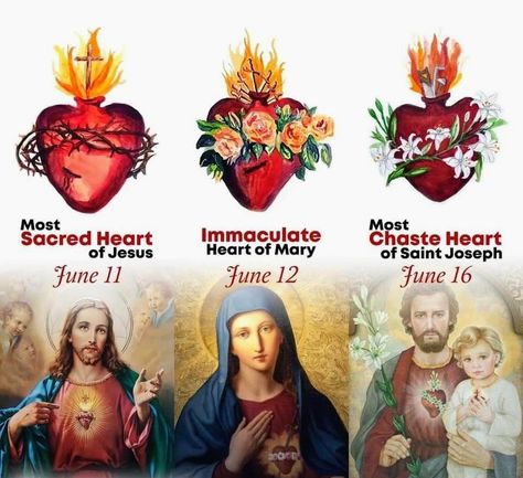 Sacred Heart Of Joseph, Chaste Heart Of St Joseph, Sacred Heart Art, Catholic Artwork, Catholic Beliefs, Sacred Hearts, Catholic Decor, Jesus Christ Artwork, Catholic Images