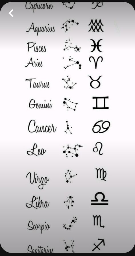 Horoscope Symbols Tattoo, Capricorn And Gemini Tattoo, Gemini And Virgo Tattoo, Leo And Gemini Tattoo, Nina Tattoo, Zodiac Signs Tattoos, Aquarius Tattoo Ideas, Signs Tattoo, Tattoos Fine Line