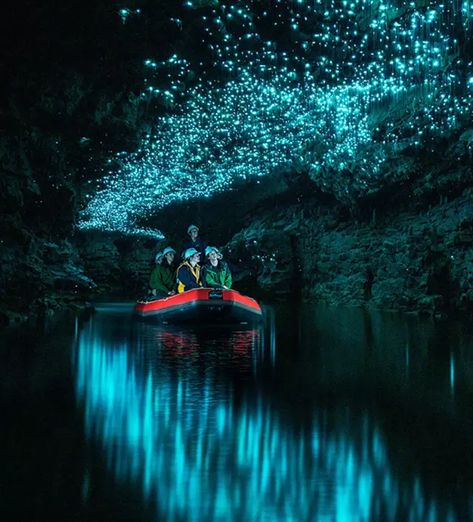 Waitomo Caves Tours NZ | Spellbound Glowworm Cave Tours Glowworm Caves New Zealand, Waitomo Caves, Glow Worm Cave, Glow Worms, Inflatable Raft, Adventure Goals, Glow Worm, Sea Dream, Cave Tours