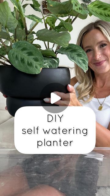 Samantha Hermann on Instagram: "More tips ⬇️ I’ve made my fair share of self watering pots but none have been this ✨aesthetically pleasing✨ I’m so happy with how this turned out! I’m hoping the sealer I used will hold up to constant moisture, but if it doesn’t I’ll just redo it with something stronger. I also ended up pushing a longer wick up into the soil more, so it could saturate it better. These maranta are adorable and I love that they’re variegated! I plan to keep them back a bit from a NW window. I’ll let the water reservoir go dry before adding more water. @solsoils discount code is H+P 🫶🏻 Give this DIY a try, it’s super simple & can be adapted to so many different dishes!" Diy Self Watering Planter, Diy Planters Indoor, Water Plants Indoor, Self Watering Containers, Plant Display Ideas, Self Watering Plants, Self Watering Pots, Plant Hacks, Diy Plant Hanger