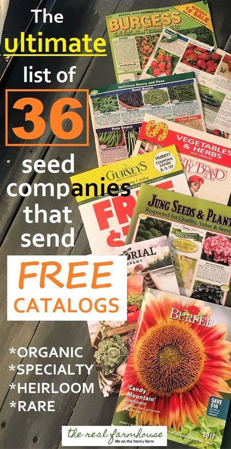 36 seed companies that send free catalogs right to your door. How to get tons of free catalogs. organic, specialty, heirloom, rare Heirloom Seeds Catalog, Seed Companies, Organic Insecticide, Garden Catalogs, Organic Pesticide, Plant Catalogs, Organic Vegetable Garden, Free Catalogs, Winter Vegetables