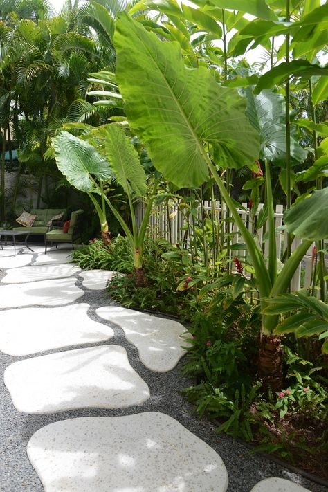 Tropical Walkway, Tropical Landscape Design Plans, Hawaii Gardening, Hawaii Landscaping, Hawaii Garden, Hawaiian Landscape, Poolside Landscape Ideas, Florida Plants Landscaping, Tropical Pool Landscaping