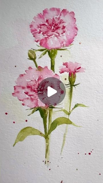 Watercolor Flower Drawings, Watercolor Carnation Tutorial, Carnation Watercolor Painting, Loose Floral Watercolor Painting, Watercolor Flower Tutorial, Watercolor Botanical Flowers, Watercolor Carnation, January Carnation, Loose Watercolor Paintings