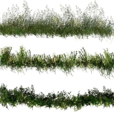 50 Photoshop Brushes of Dynamic Vegetation Plants Photoshop, Trees Texture, Photoshop Landscape, Landscape Architecture Graphics, Tree Photoshop, Grass Plants, Photoshop Rendering, Tree Textures, Photoshop Resources