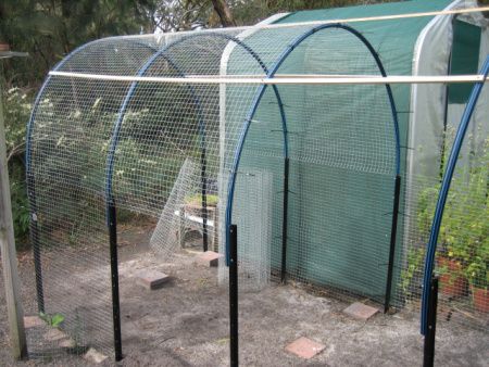 Blueberry Gardening, Chicken Tunnels, Vegetable Garden Ideas, Garden Archway, Chicken Pen, Chicken Coop Run, Vertical Vegetable Garden, Coop Design, Chicken Run