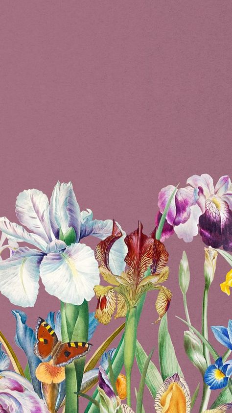 Iris Flowers Aesthetic Wallpaper, Floral Background Purple, Phone Wallpaper Vintage, Iris Wallpaper, Flowers Phone Wallpaper, Vintage Botanical Illustration, Background Purple, Android Wallpaper Art, Flowers Illustration