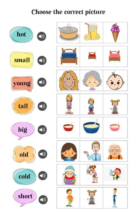 Opposites interactive and downloadable worksheet. You can do the exercises online or download the worksheet as pdf. Opposites For Kids, Opposites Worksheet, Ingles Kids, English Worksheets For Kindergarten, Grammar For Kids, English Activities For Kids, Opposite Words, Kids Worksheets Preschool, Preschool Activities Toddler