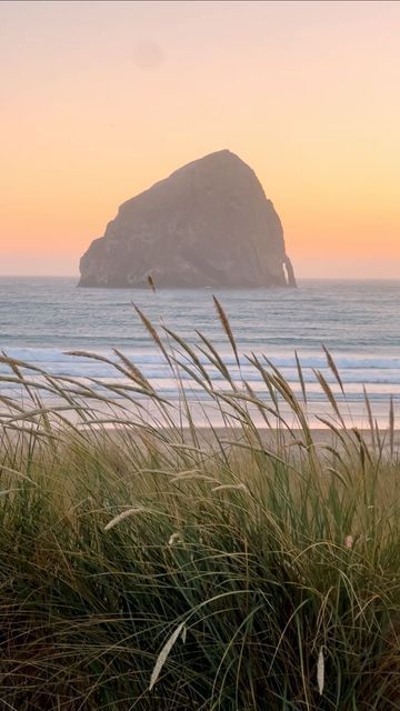 Nicole Pang 🌵Travel + Hidden Gems on Instagram: "Located just 90 minutes south of Cannon Beach this hidden gem is less crowded, has more to explore, and has better restaurants in my not so humble opinion. Do you agree that Cape Kiwanda doesn’t get enough hype or are you still team Cannon Beach? Oregon Coastal Roadtrip | Oregon Towns | Bucketlist Hidden Gems | Coastal Hike | Oregon Hikes #oregonhikes #oregonhiking #capekiwanda #cannonbeach #coastalhikes #coastaltowns #exploreoregon" Explore Oregon, Cape Kiwanda, Oregon Hikes, Cannon Beach Oregon, Cannon Beach, Coastal Towns, Hidden Gem, Hidden Gems, Oregon