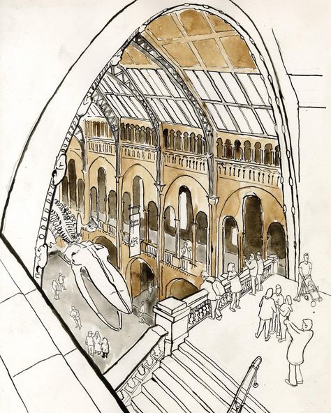 In the main hall, hangs the giant blue whale skeleton. In this London cityscape drawings by David Richardson. Architecture Drawing Reference Photo, Museum Aesthetic Drawing, London Architecture Drawing, Library Drawing Sketches, Museum Sketch, Museum Drawing, Whale Skeleton, London Drawing, Cityscape Drawing